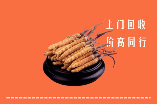 南平回收散虫草
